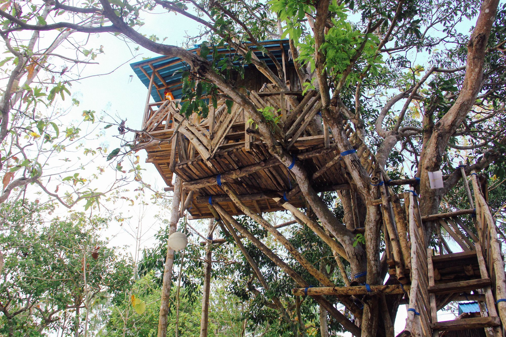 Nyuh Bengkok Tree House Hotel Batununggul Luaran gambar